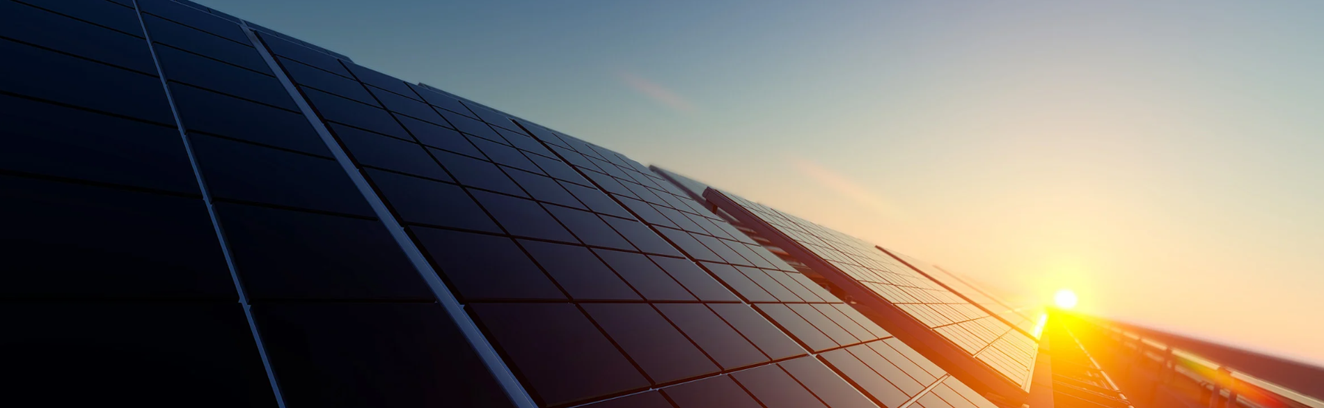sun rising over solar panels